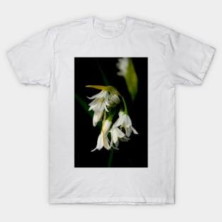 Wild Garlic T-Shirt